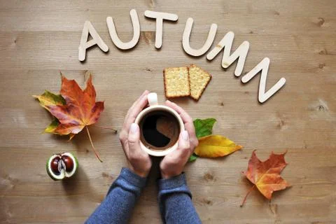 Autumn mood composition background Stock Photos