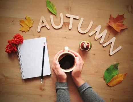 Autumn mood composition background Stock Photos
