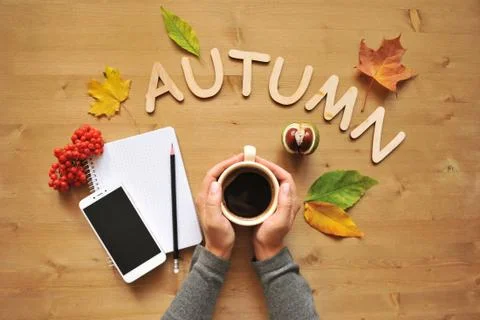 Autumn mood composition background Stock Photos