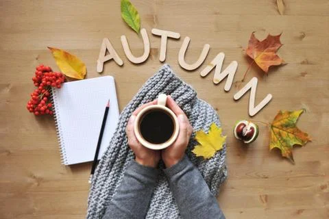 Autumn mood composition background Stock Photos