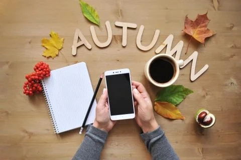 Autumn mood composition background Stock Photos