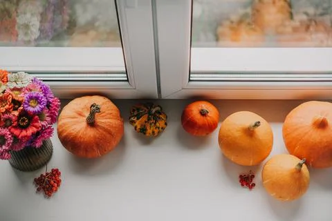 Autumn mood composition. Frame made of pumpkins, autumn flowers and guelder rose Stock Photos