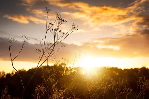Autumn mood with dramatic sky Stockfoto's