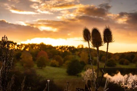 Autumn mood with dramatic sky Stockfoto's
