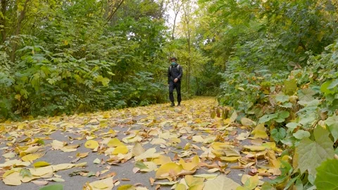 Autumn mood Stock Footage 207088495