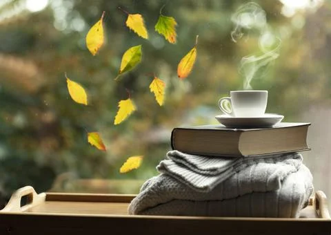 Autumn mood Stock Photos