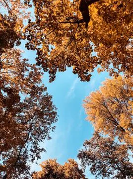 Autumn mood Stock Photos