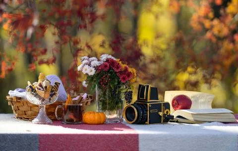 Autumn mood scene. Creative fall composition. Vintage photo camera on autumn Stock Photos