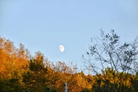 Autumn Moon Stock Photos