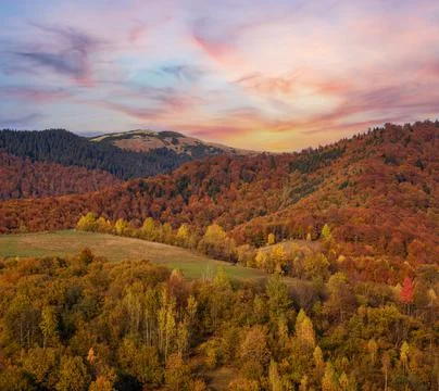 Autumn morning Carpathian Mountains calm picturesque scene, Ukraine. Peaceful Stock Photos