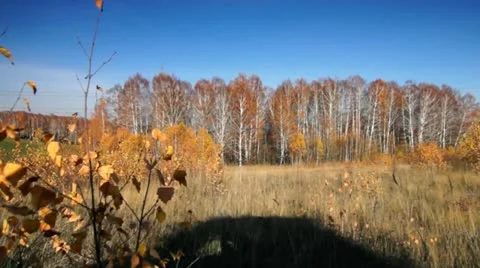 Autumn in motion 013 Stock Footage 12532768