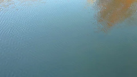 Autumn Motion Background at Sunset Stock Footage 82301331