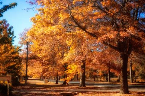 Autumn in Mount Macedon Stock Photos