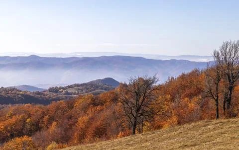 Autumn on the mountain background Stock Photos
