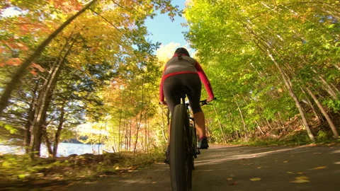 Autumn Mountain biking in fall. Mountain biker riding MTB bicycle on forest Stock Footage 159242786