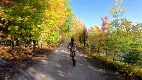 Autumn Mountain biking in fall. Mountain biker riding MTB bicycle on forest Stock-Footage 159304666
