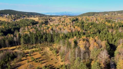 Autumn  on mountain Divčibare Stock Footage 143806677