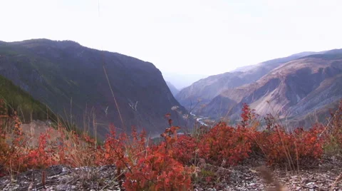 Autumn Mountain Видео 45102766