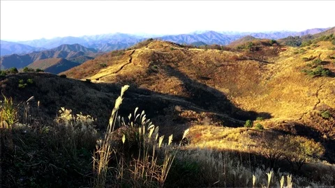 Autumn mountain: Vidéo 80149456