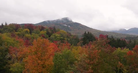 Autumn on the mountain. Vídeo Stock 164260908