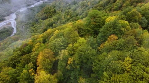 Autumn mountain forest and clouds Stock Footage 168562908