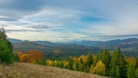 Autumn. The Mountain Forest on the Background of the Sunset Stock Footage 82953475