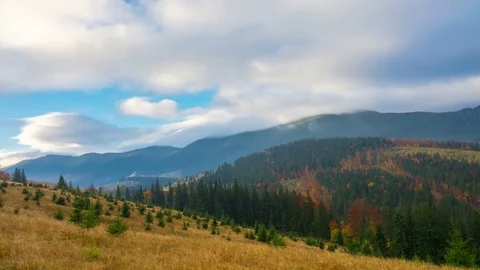 Autumn. The Mountain Forest Stock Footage 82955281