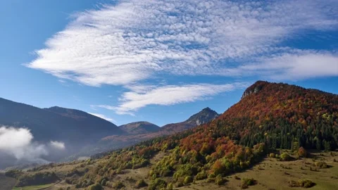 Autumn mountain forest landscape, tree colors, autumn colors. Blue sky with Stock Footage 170693484
