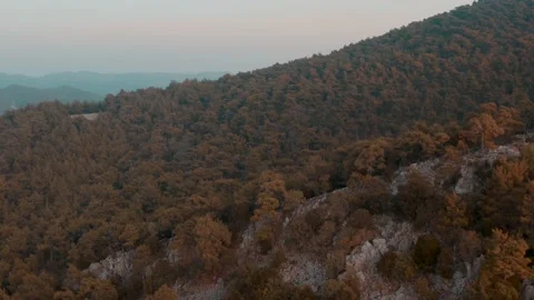Autumn Mountain Forest Sunset Drone Aerial Nature Wild Landscape Golden Hour Stock Footage 154521576