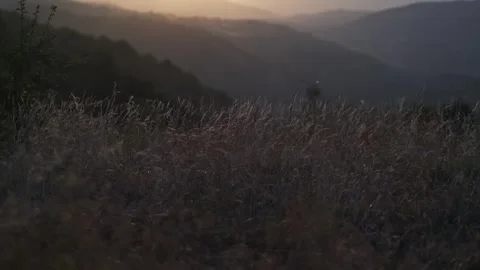 Autumn mountain grass in the rays of the setting sun Stock Footage 255123284