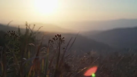 Autumn mountain grass in the rays of the setting sun Stock Footage 263867160