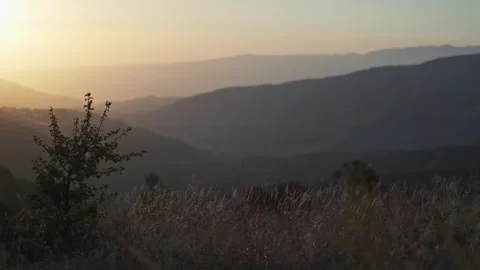 Autumn mountain grass in the rays of the setting sun Stock Footage 271117875