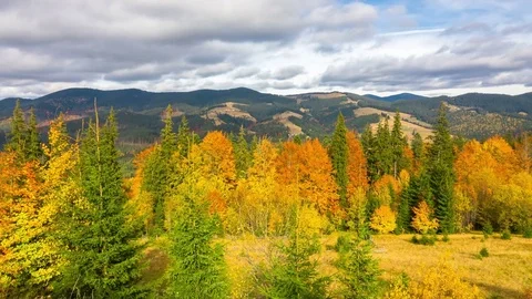 Autumn. Mountain Landscape with a Fast Clouds and Colorful Trees Stock Footage 83723122