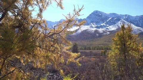 Autumn Mountain Landscape. Stock Footage 87946690