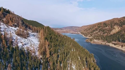 Autumn mountain landscape: river flows along yellowed trees on shore. Video stock 82192392