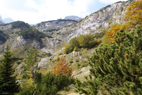 Autumn in mountain Stock Photos