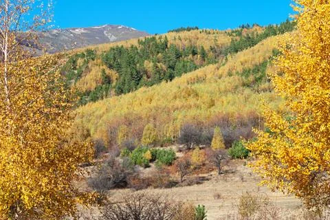 Autumn mountain Stock Photos