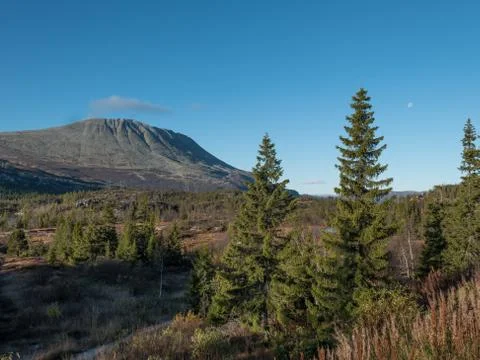 Autumn at the mountain Stock Photos