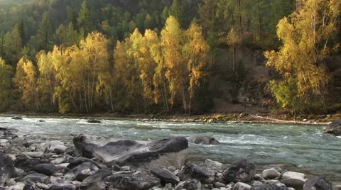 Autumn mountain river Видео 49321991