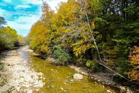 Autumn mountain river Stock Photos