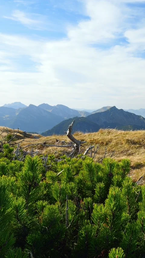 Autumn Mountain Serenity with Soft Clouds and Blue Skies Above the Majestic T Stock Footage 308878834
