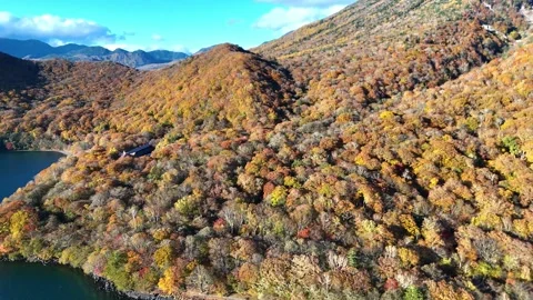 Autumn Mountain Slope | Forest House | Nature - 4K Aerial Video Stock Footage 329052891