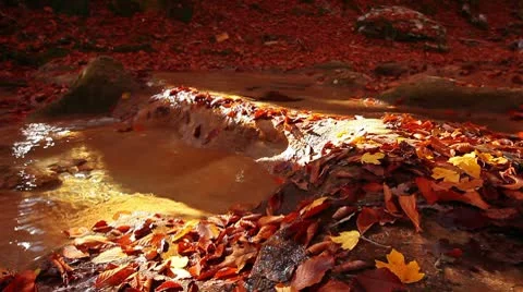 Autumn mountain small river Stock-Footage 8953737