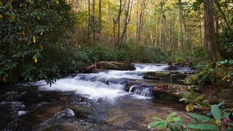 Autumn Mountain Stream Stock-Footage 141613687