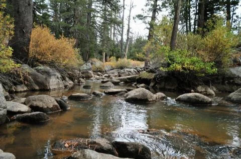 Autumn mountain stream Stockfoto's