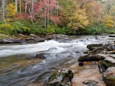 Autumn Mountain Stream 库存照片