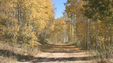 Autumn mountain trail M HD Stock Footage 268678
