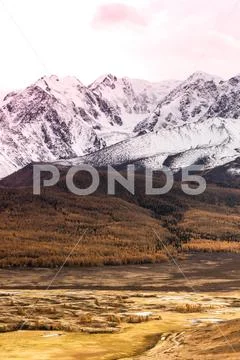 Autumn in mountain valley. Mountain range and yellow forest on horizon Stock Photos