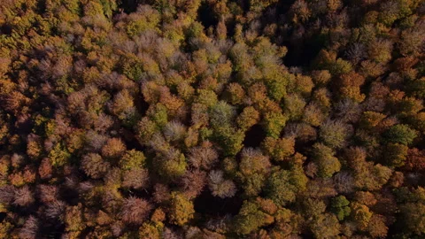 Autumn mountain view Stock Footage 290028167