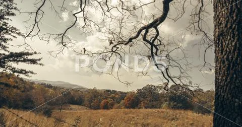 Autumn Mountain Vista Stock Photos